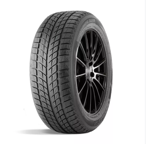 Автомобильные зимние шины Doublestar DW09 215/50 R17 91H