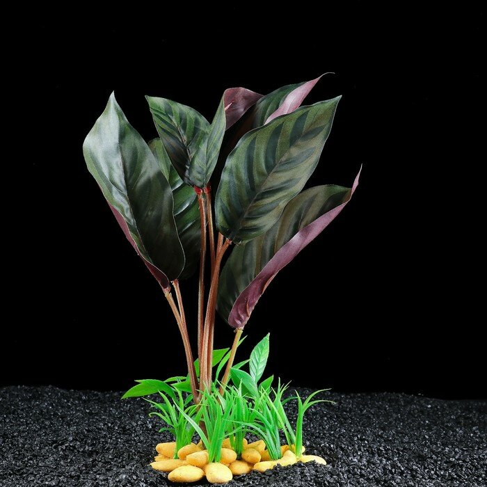 Пижон Аква Растение аквариумное на камнях, 30 х 30 х 20 см - фотография № 1