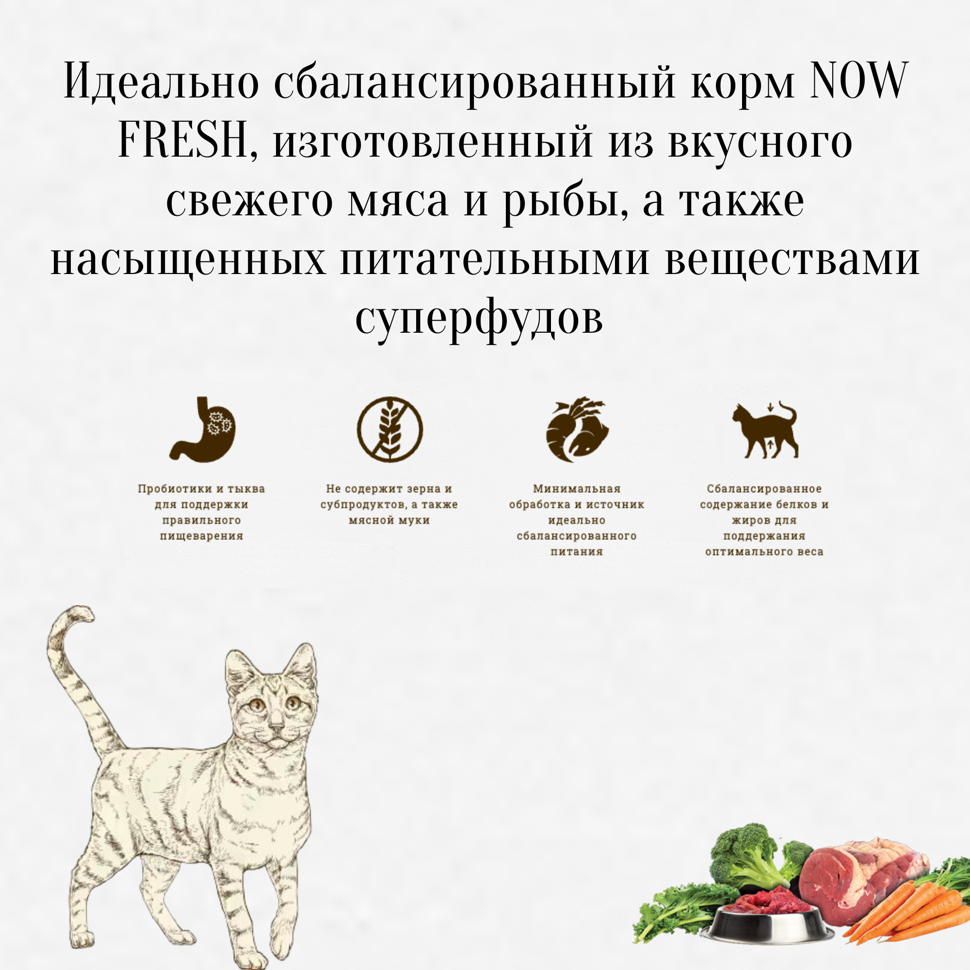 NOW Fresh беззерновой корм для взрослых кошек с форелью и лососем для чувствительного пищеварения - фотография № 4