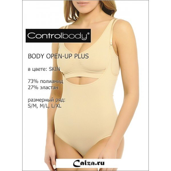 Controlbody