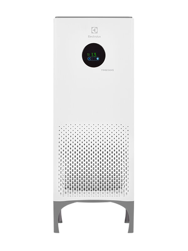 Очиститель Electrolux EAP-1040D