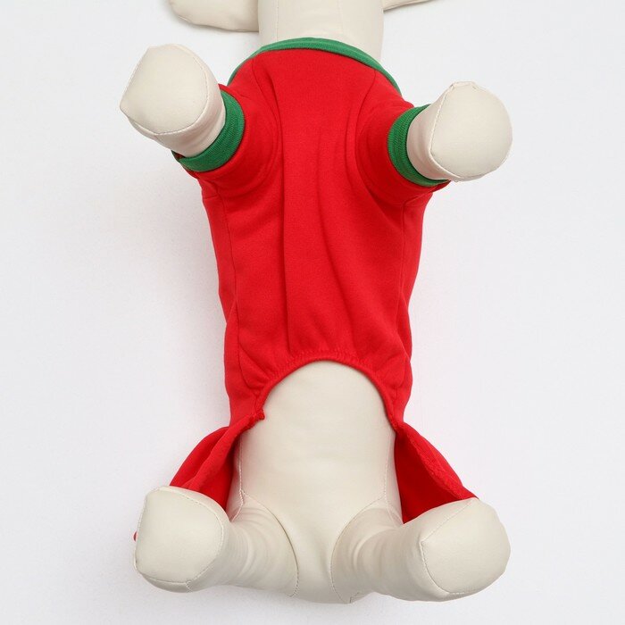 Новогодний костюм "Снегурочка" для собак, размер M, красный (ДС 26, ОШ 30, ОГ 36 см) - фотография № 4