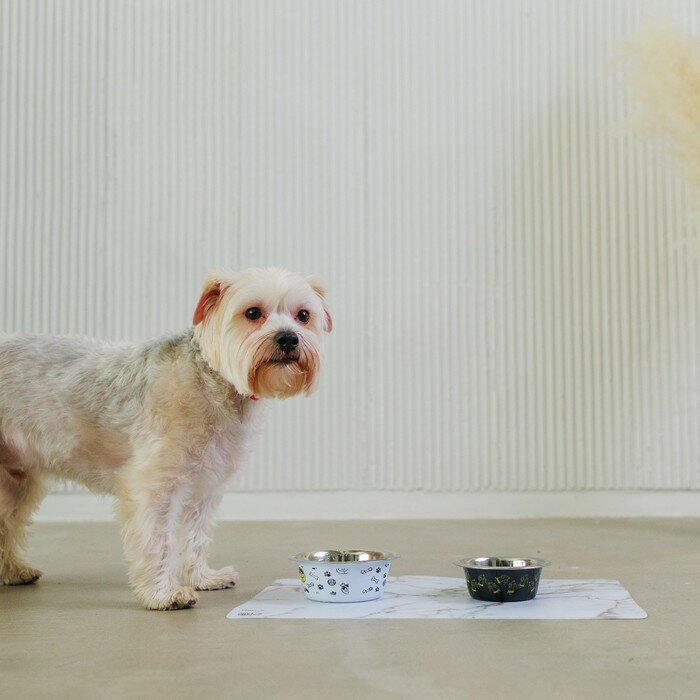 Миска металлическая для собаки «Пушистое счастье», 240 мл, 11х4 см - фотография № 4