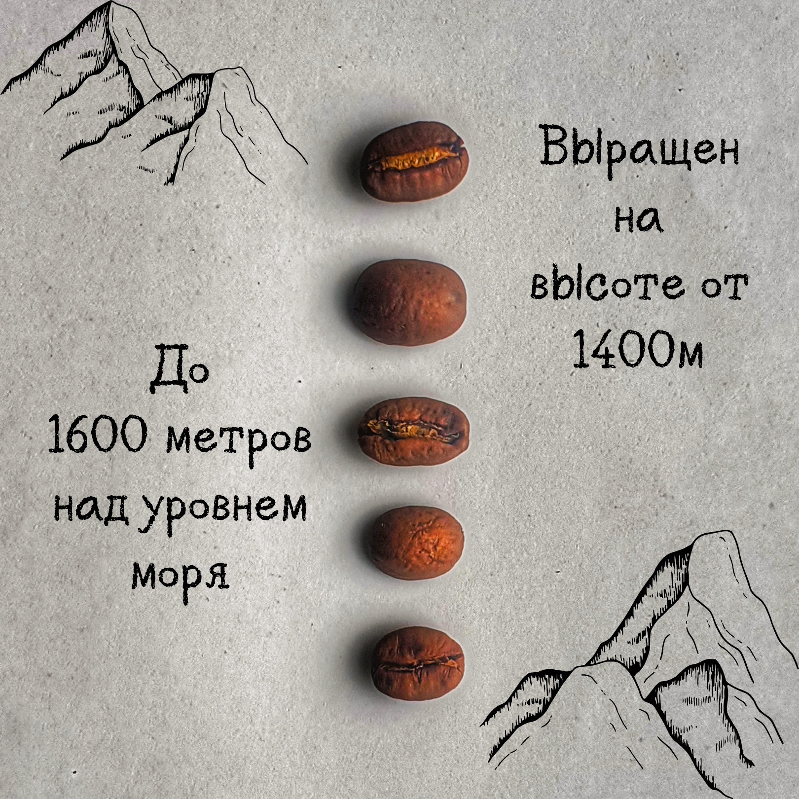 Кофе в зернах ITD никарагуа матагальпа Special Esspresso Blend Elite, 1кг - фотография № 5