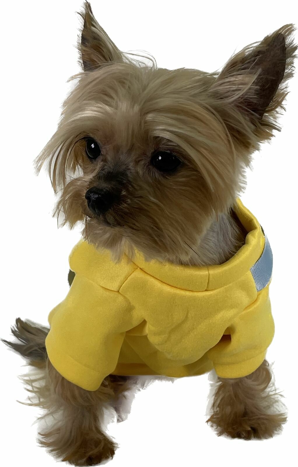 Одежда для собак теплый плюшевый свитер желтый с сумкой - S - фотография № 6