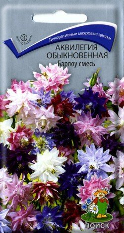 Аквилегия Барлоу 20шт обыкновен смесь Мн 80см (Поиск)