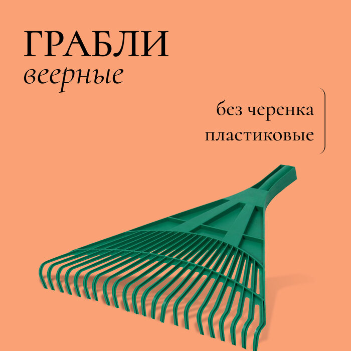 Грабли веерные, пластинчатые, 22 зубца, пластик, тулейка 24 мм, без черенка