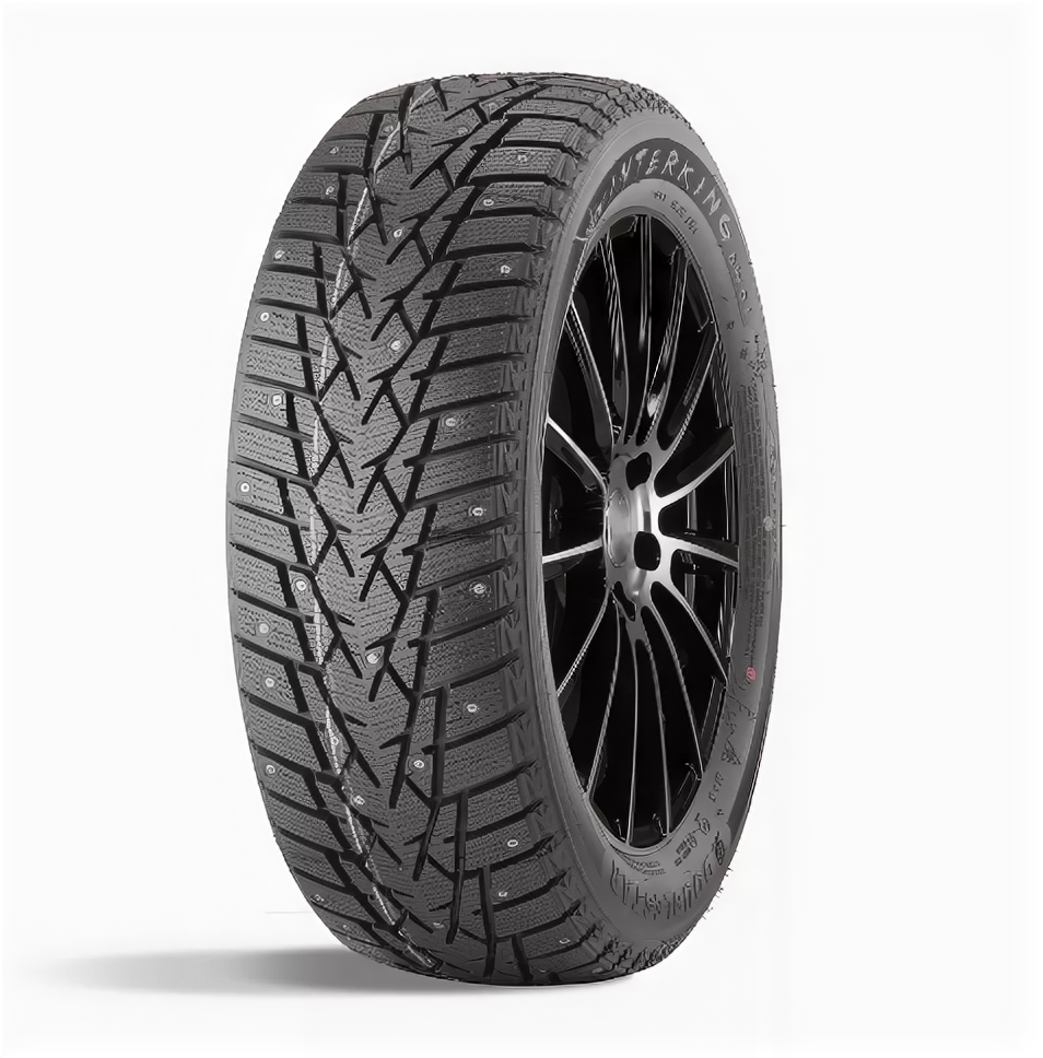 Автомобильные зимние шины Doublestar DW01 205/55 R16 91T