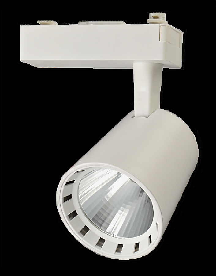 Jazzway PTR 0330 30w 4000K 24° WH (белый) IP40 Jazzway, .5010598 1 шт.