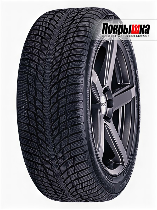 Шины Nokian Tyres WR Snowproof P 245/40 R20 99W