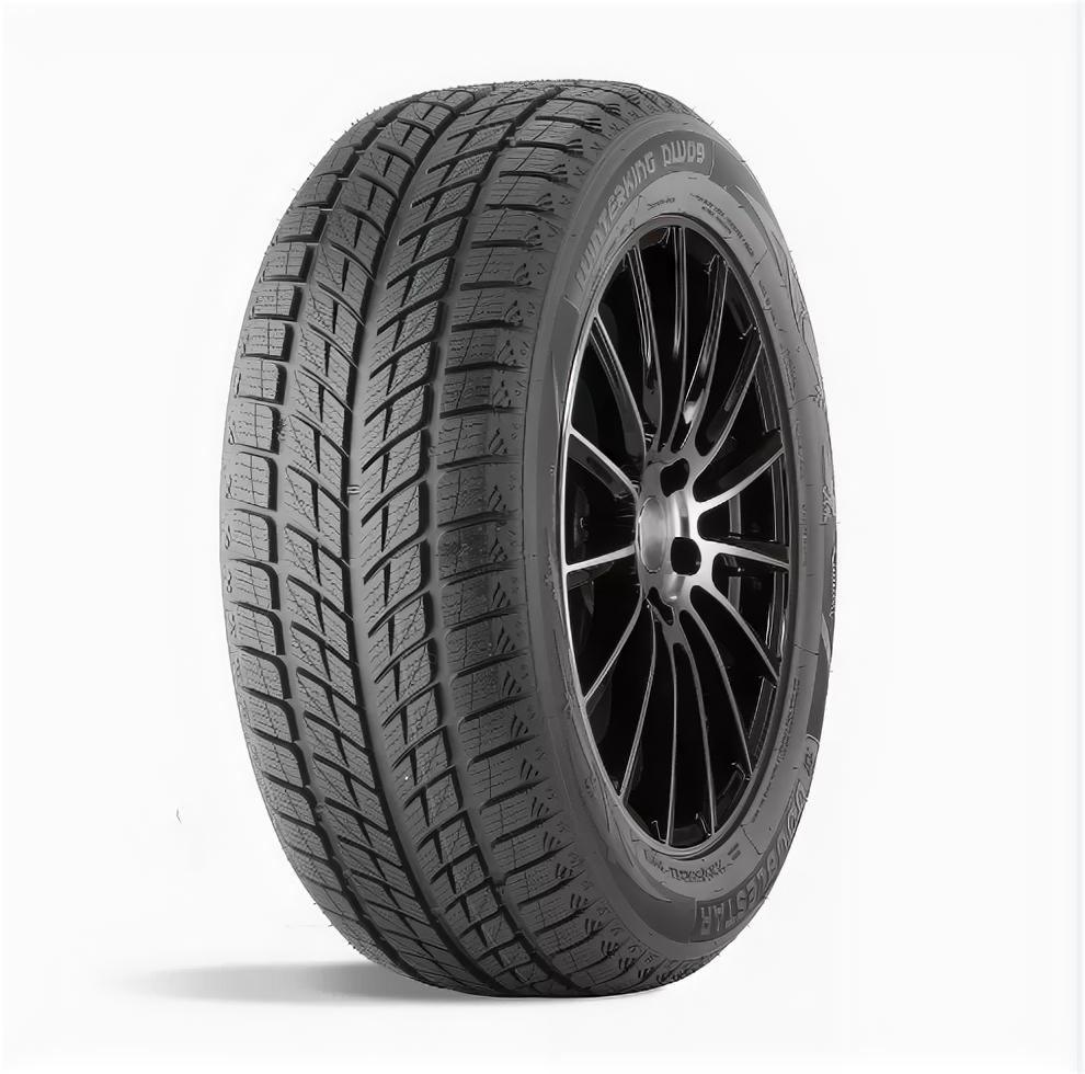 Автомобильные зимние шины Doublestar DW09 225/45 R18 95T