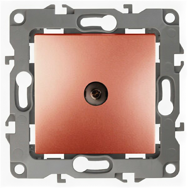 фото Розетка ЭРА 12-3101-14 TV одиночная, IP20, ЭРА12, медь арт. Б0019341 (1 шт.)