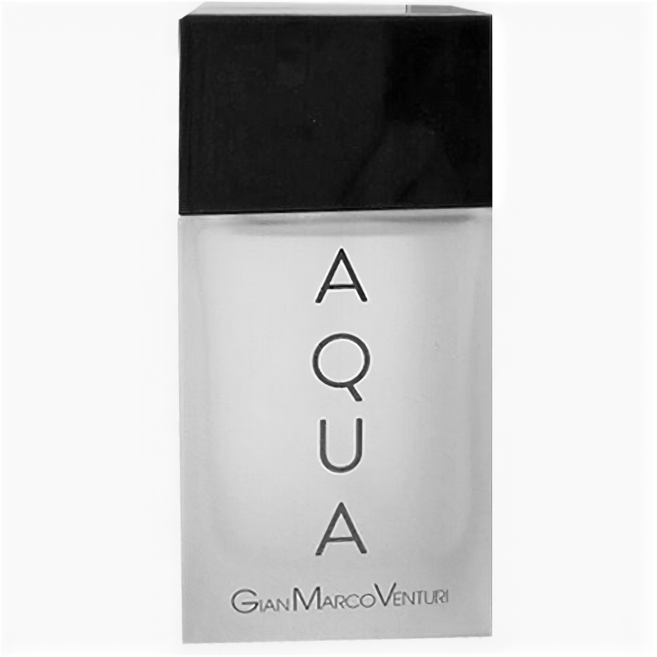 Gian Marco Venturi Aqua туалетная вода 30мл