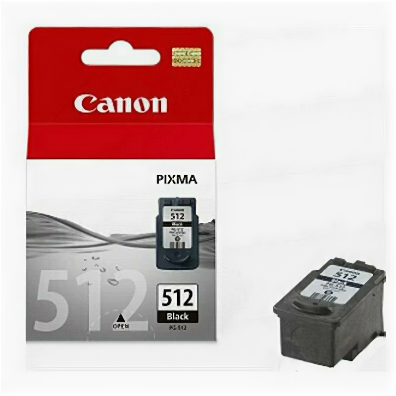 Картридж струйный Canon PG-512 2969B007 черный оригинальный, 159260