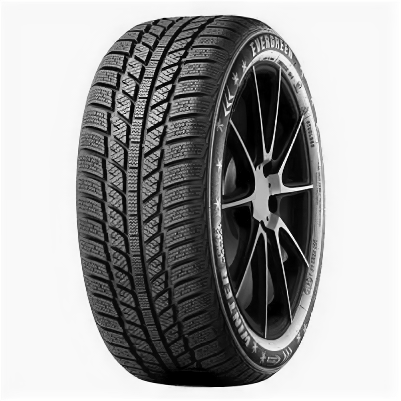 Автомобильные шины Evergreen Winter EW62 205/60 R16 96H