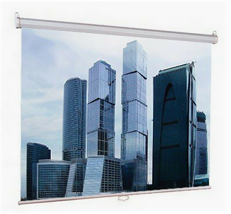 LUMIEN Экран Lumien 160x160см Eco Picture LEP-100105 1:1 настенно-потолочный рулонный