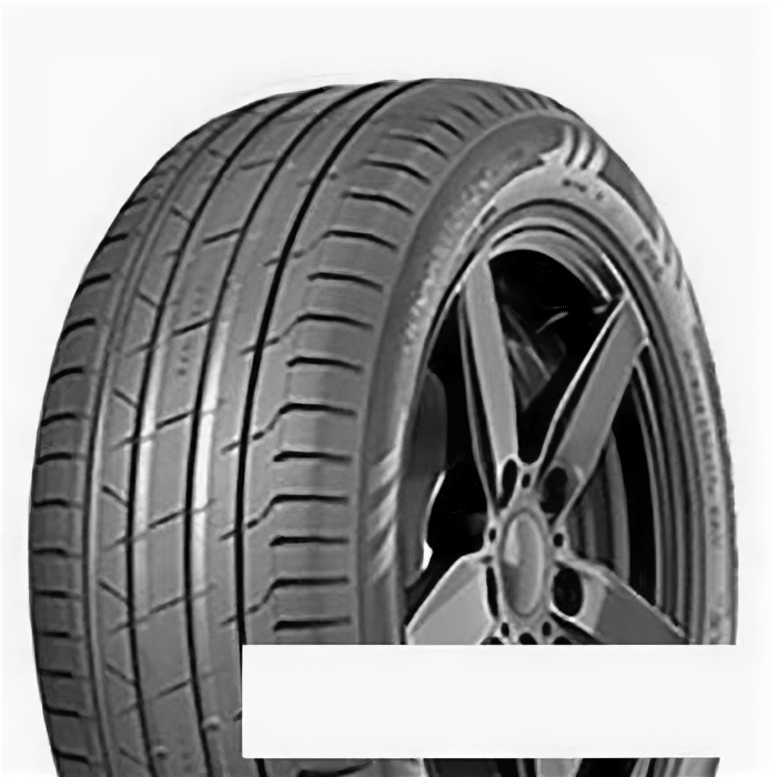 Шина 275/50/20 113W Nokian Tyres Hakka Black 2 SUV