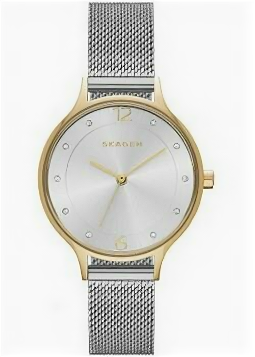 Часы женские Skagen SKW2340