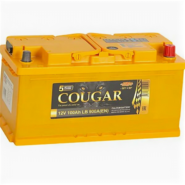 Аккумулятор COUGAR PRO 100 Ач 900А низкий обратная полярность