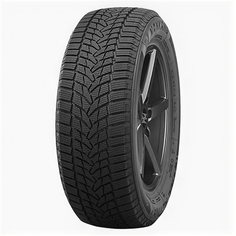Автомобильные шины Nankang Ice Activa Ice-2 205/55 R16 94T