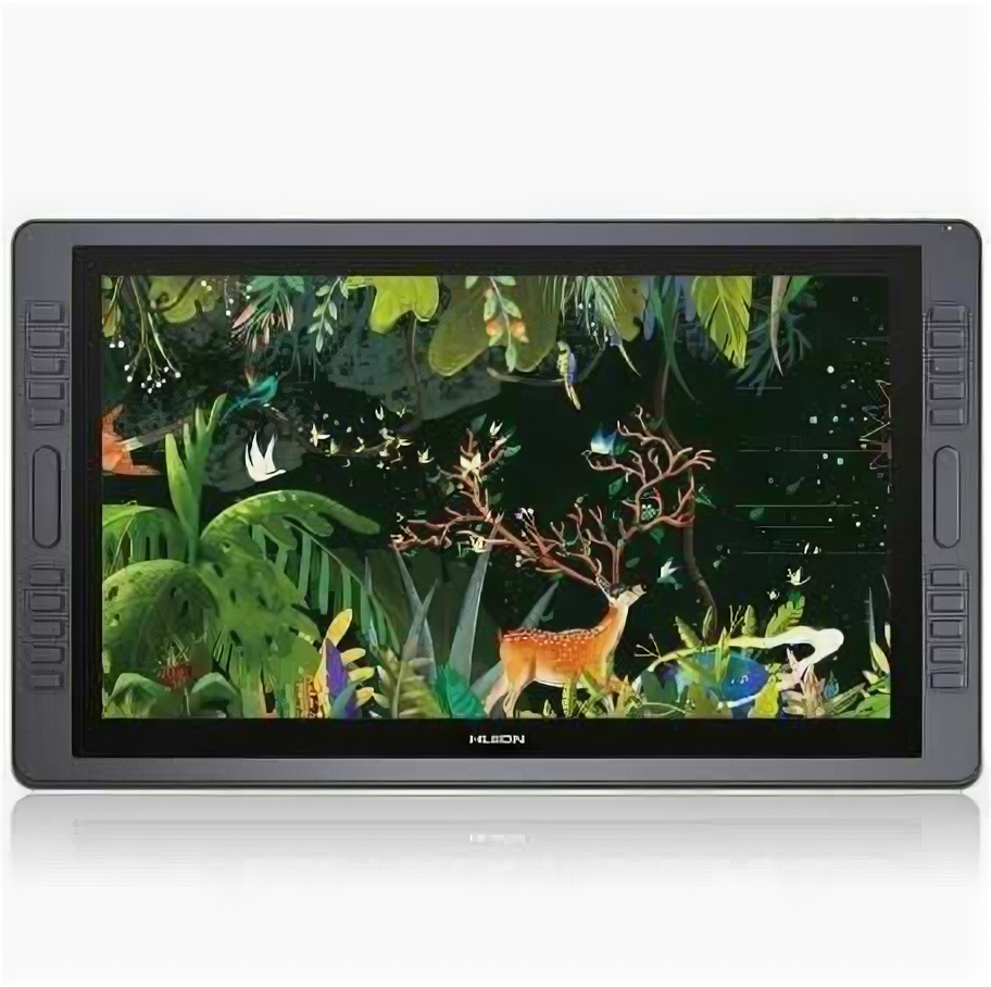 Графический монитор HUION Kamvas Pro 22