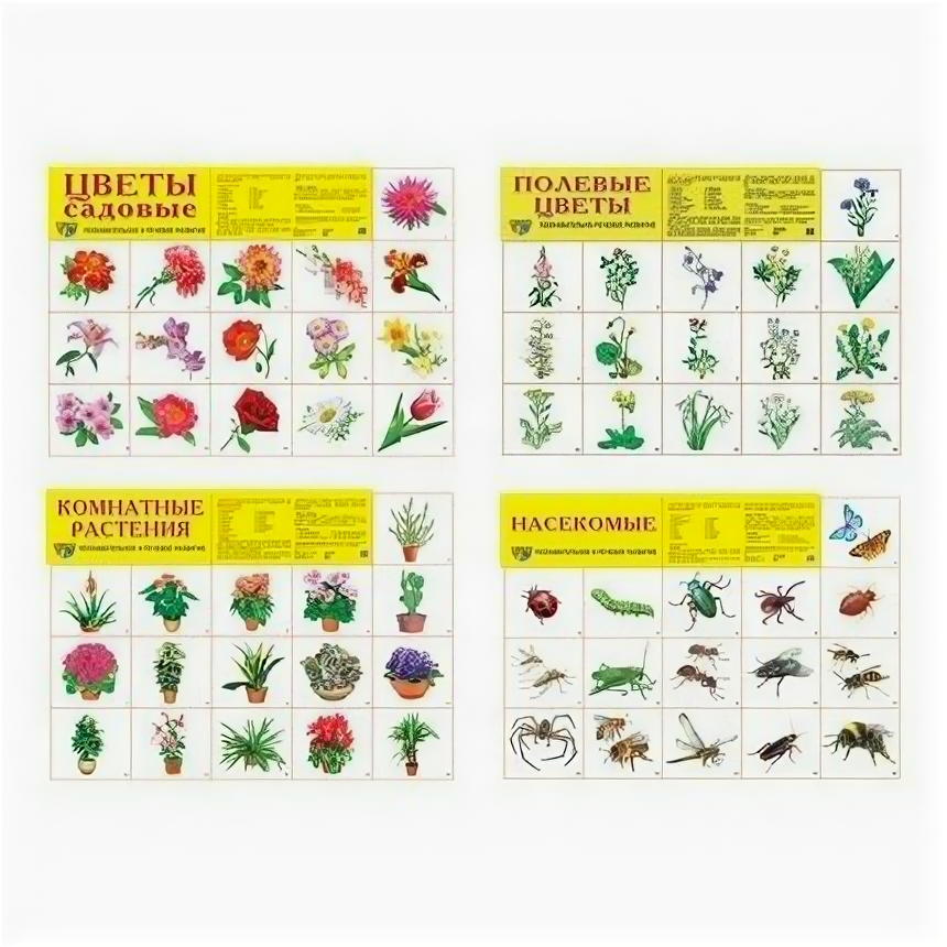 Сфера ТЦ издательство Комплект демонстрационных плакатов А2 Мир цветов и насекомых : 4 плаката 2, 80 картинок
