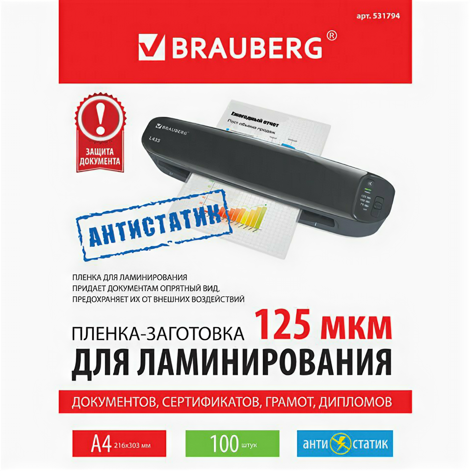    BRAUBERG BRAUBERG, , 4, 531794, 100 ., 125 .