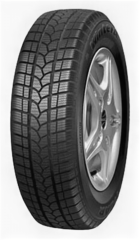 Tigar Winter1 165/70 R14 81T