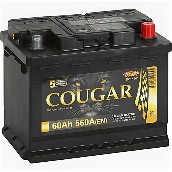 Аккумулятор COUGAR Power 60 Ач 560А обратная полярность