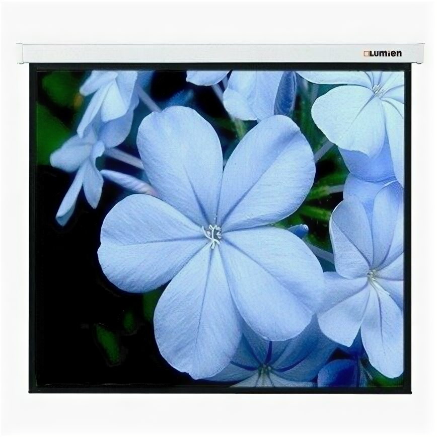 Экран для проектора Lumien Master Picture 129x200 см Matte White FiberGlass LMP-100132