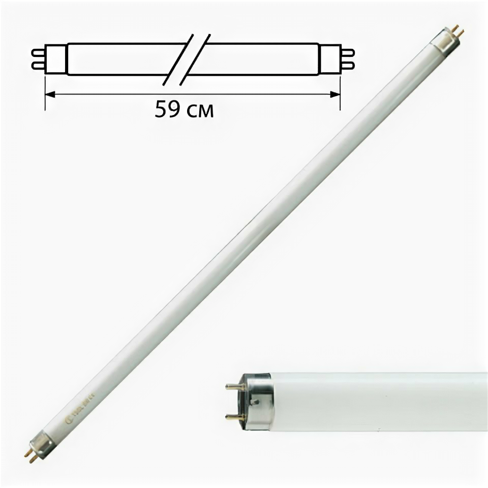 фото Лампа люминесцентная PHILIPS TL-D 18W/54-765, 18Вт, цокольG13, в виде трубки 59см, хол.дневной свет