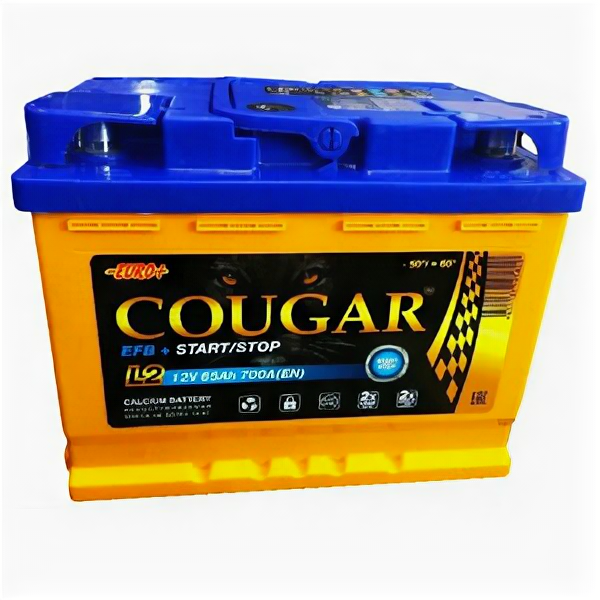 Аккумулятор COUGAR EFB Start-Stop 65 Ач 700А обр. пол.