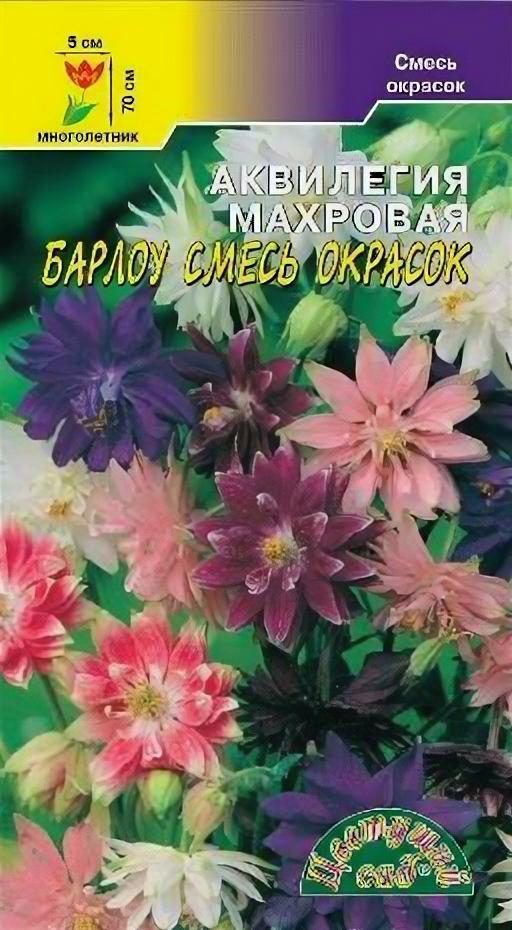 Цветущий сад Семена Аквилегия Махровая Барлоу смесь Цветущий сад