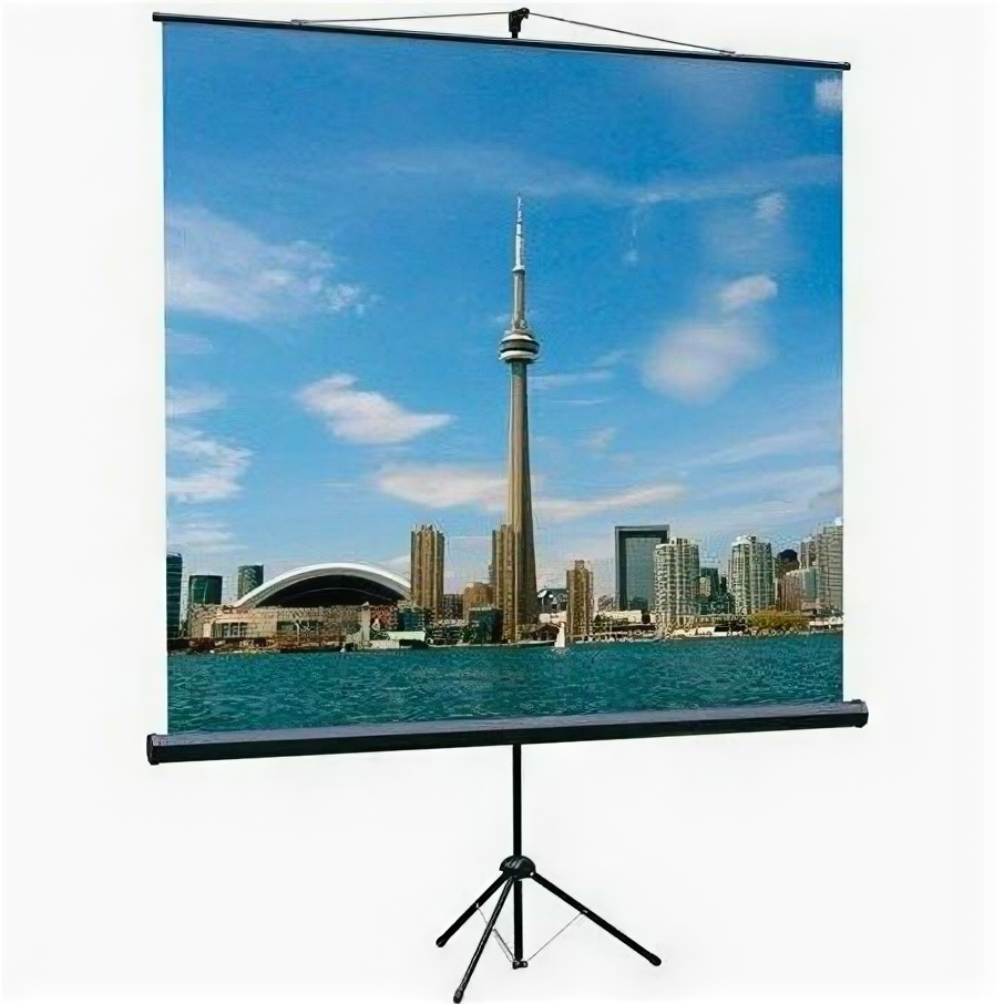 Экран для проектора Lumien LEV-100112 Eco View 183x244