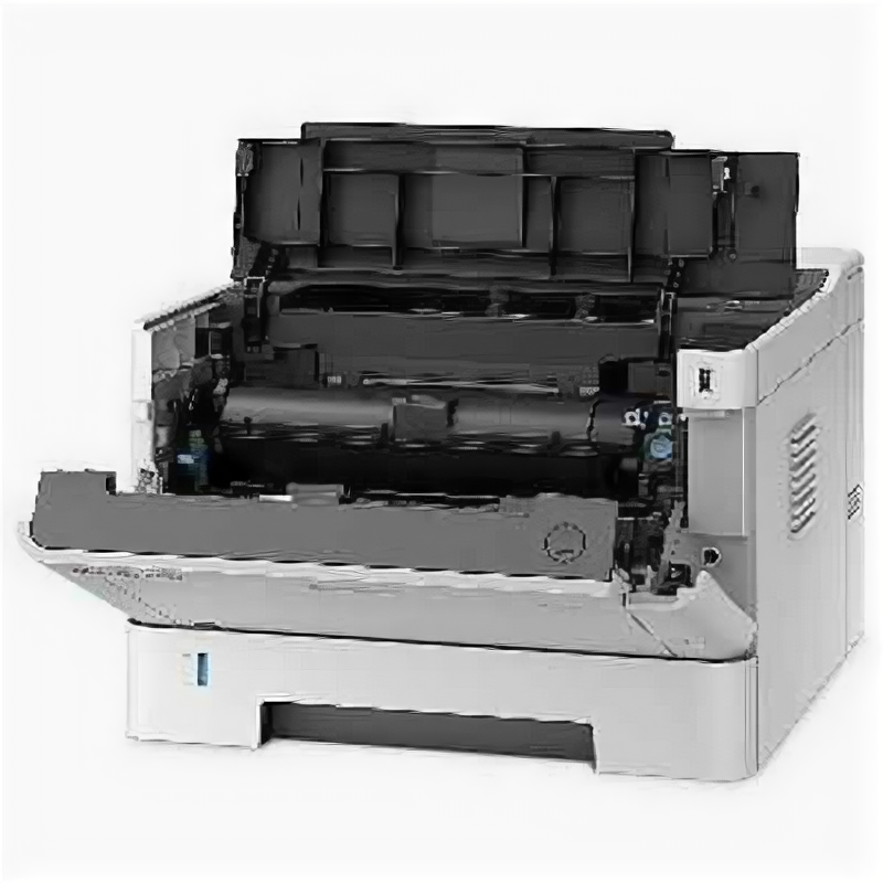 Лазерный принтер Kyocera Ecosys P2040dn (1102RX3NL0)
