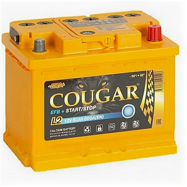 Аккумулятор COUGAR EFB Start-Stop 60 Ач 600А обратная полярность