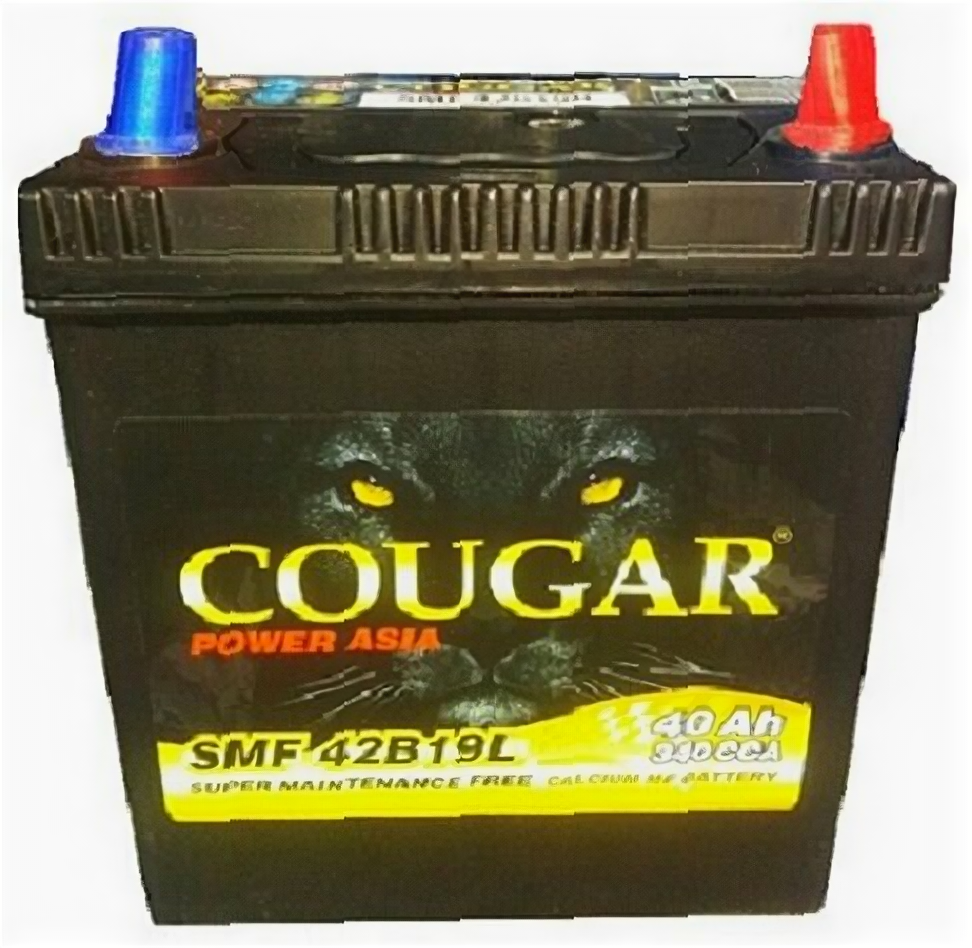 Аккумулятор автомобильный Cougar Asia 42B19L 40 А/ч 340 А обр. пол. Азия авто (187х127х225) без бортика