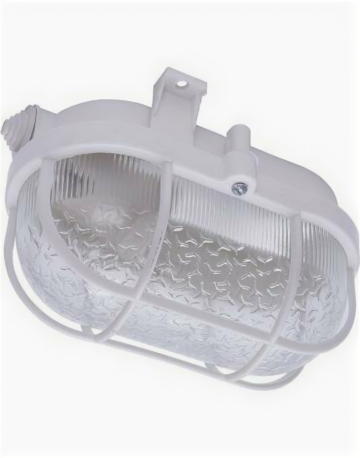 Feron НБП 01-60-002 Светильник накладной с решеткой IP54, 220V 60Вт Е27 1 шт.