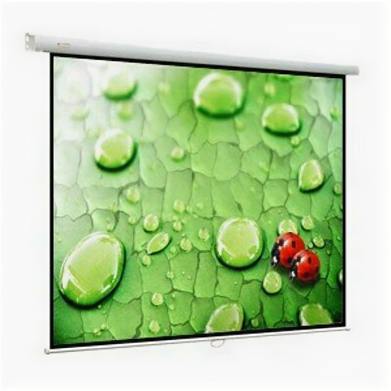 Экран для проектора Viewscreen Lotus WLO-1108