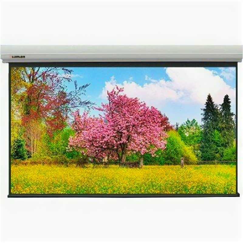 Экран для проектора Lumien Master Large Control LMLC-100108