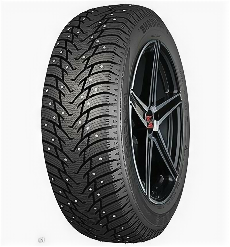 Шины 195/55 R16 Nankang SW8 91T XL шип