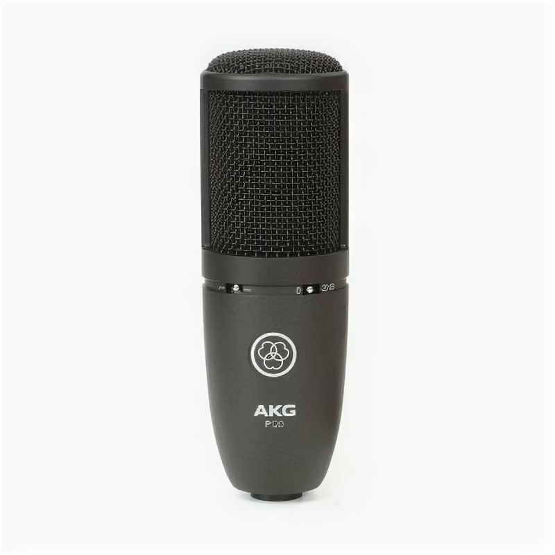 Микрофон Akg P120