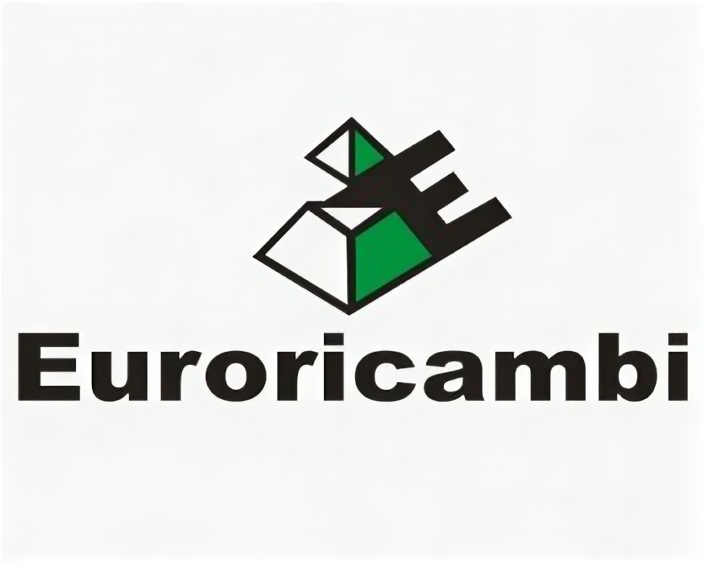 EURORICAMBI 95534780 Ва вторичный КПП ZF 9S1310 TO КАМАЗ (1324 304 005) ER