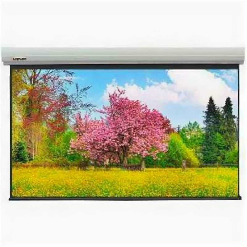 Экран для проектора Lumien Master Large Control LMLC-100117