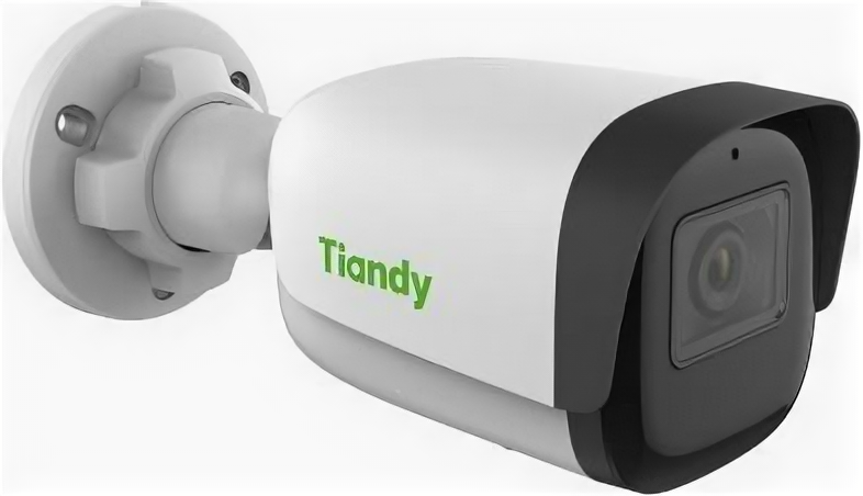 Камера видеонаблюдения IP Tiandy TC-C35WS, белый