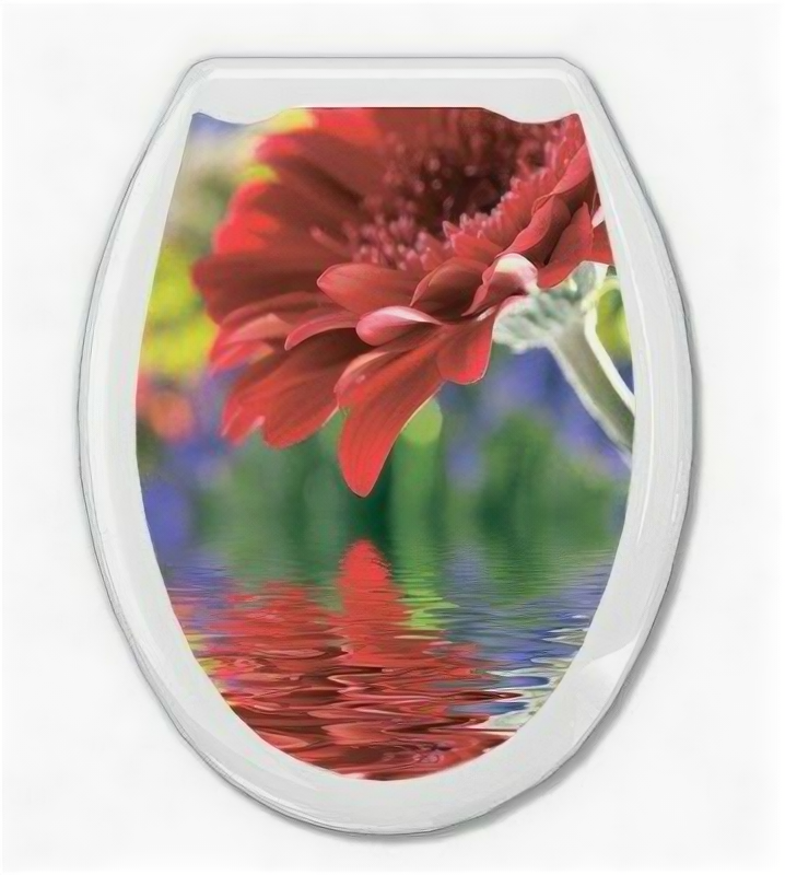 фото Сиденье для унитаза Океан жесткое с рисунком Красная гербера
