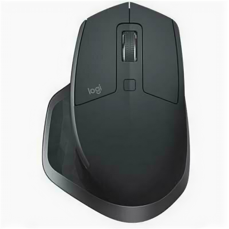 Мышь Logitech MX Master 2S 910-005966