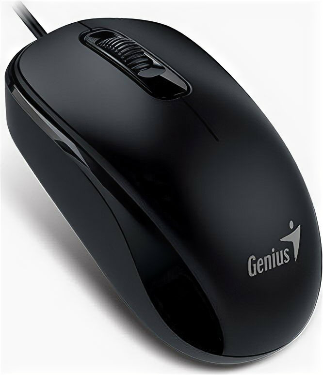 Мышь Genius DX-110 black USB .