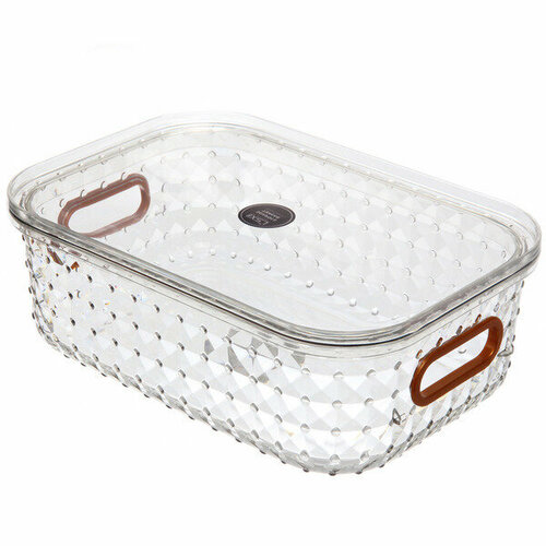 Контейнер для хранения с крышкой «ламингтон», цвет прозрачный, 25*17*8.5см