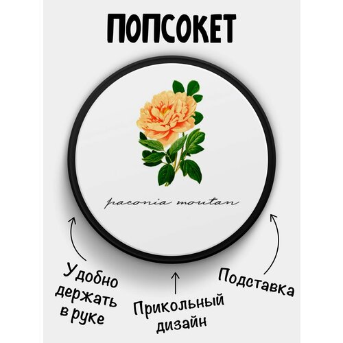 Попсокет для телефона Пион